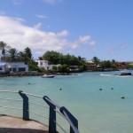 Galapagos